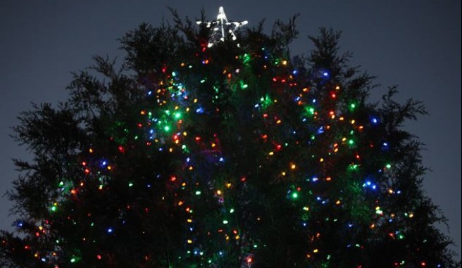 Outdoor Christmas Tree with Lights